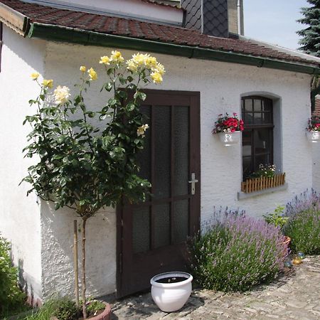 3 Seiten Ferienwohnung イェーナ エクステリア 写真