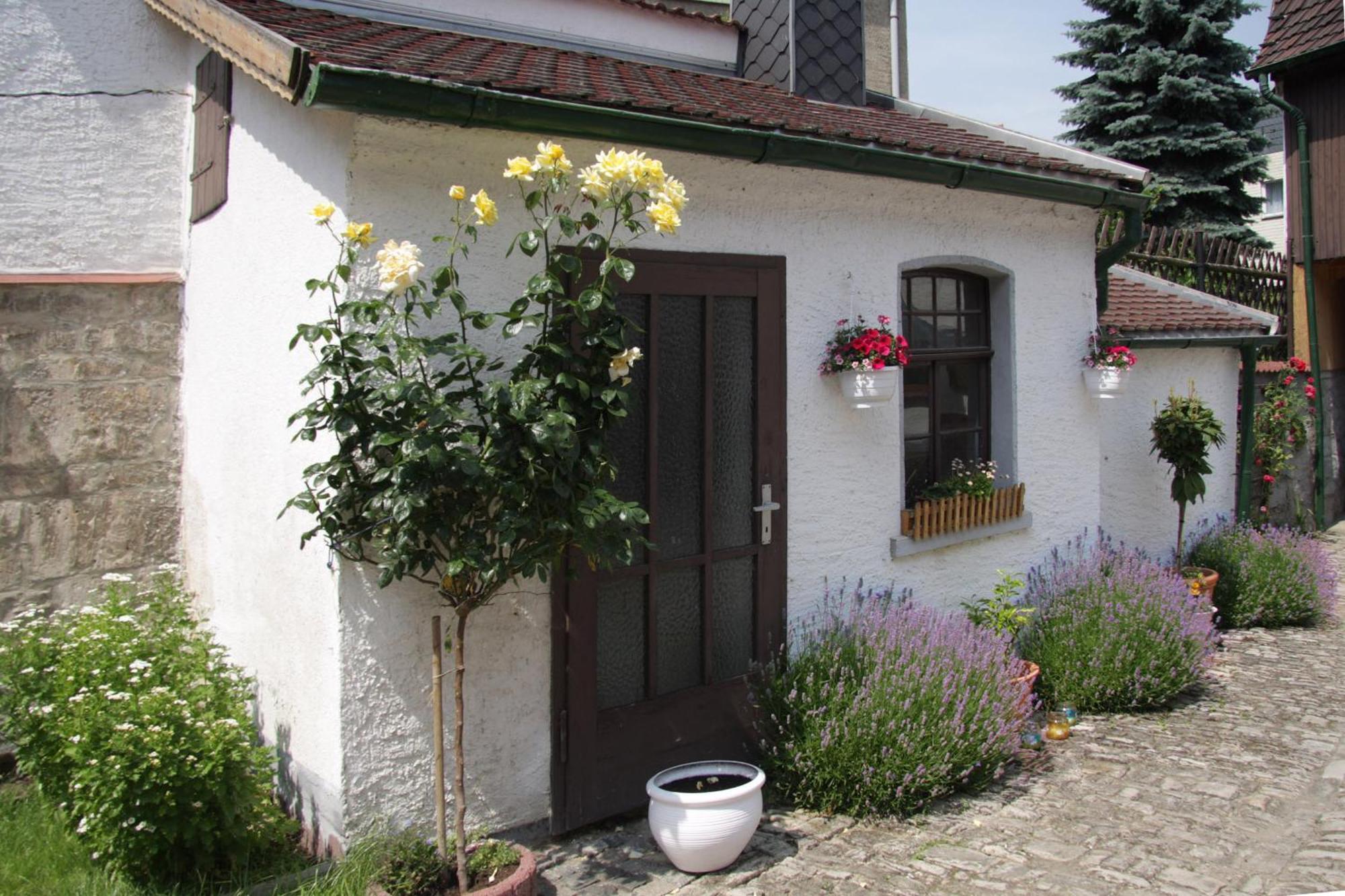 3 Seiten Ferienwohnung イェーナ エクステリア 写真